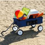 Beach Wagon