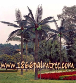 16'4 Green Palm Trees