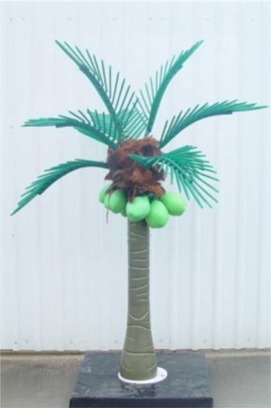 8'6 Palm Tree