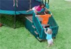 safety gate, trampoline gate, trampoline safety steps