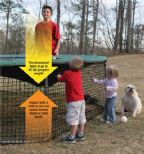 Safety Kid Net