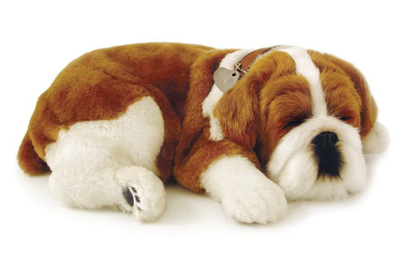 Bulldog