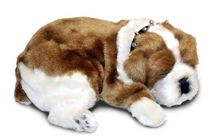 petzzz pug uk pin pug petzzz on petzzz pug uk pin pug petzzz on