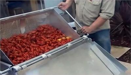 Simply roll the boiled crawfish into your cooler