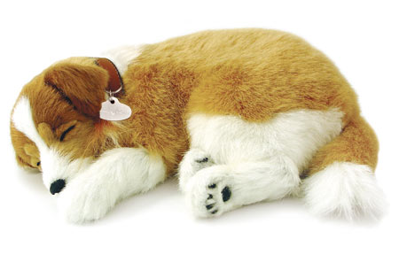 Lassie