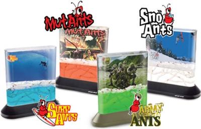 Ant Habitats