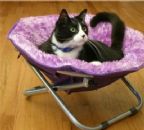 Pet Bed