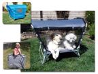Pet Shelter