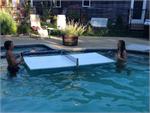 Aqua Ping Pong