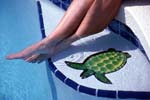 Small Pool Art