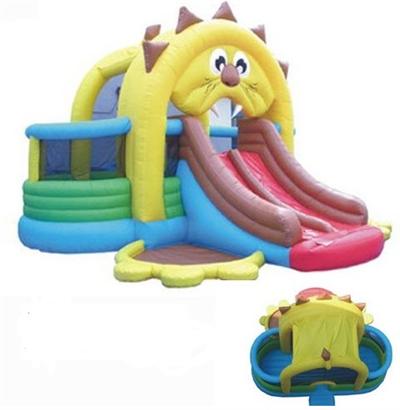 Lions Den Commercial Bouncer and Slide