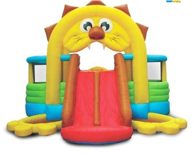  Lion's Den Bounce House
