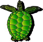 Sea Turtle