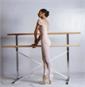 Free Standing Ballet Barres