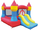 Castle Bounce and Slide Bounce House