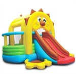  Lions Den Bounce House