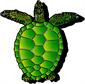 Sea Turtle