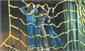 Cargo / Climbing Net