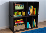 Storage Unit with Shelves