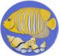 Tropical Fish