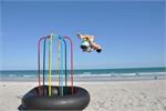 Jungle Jumparoo