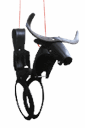 Longhorn Tire Swing